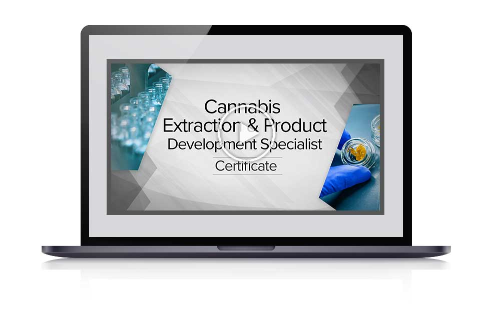 Cannabis Extraction webinar